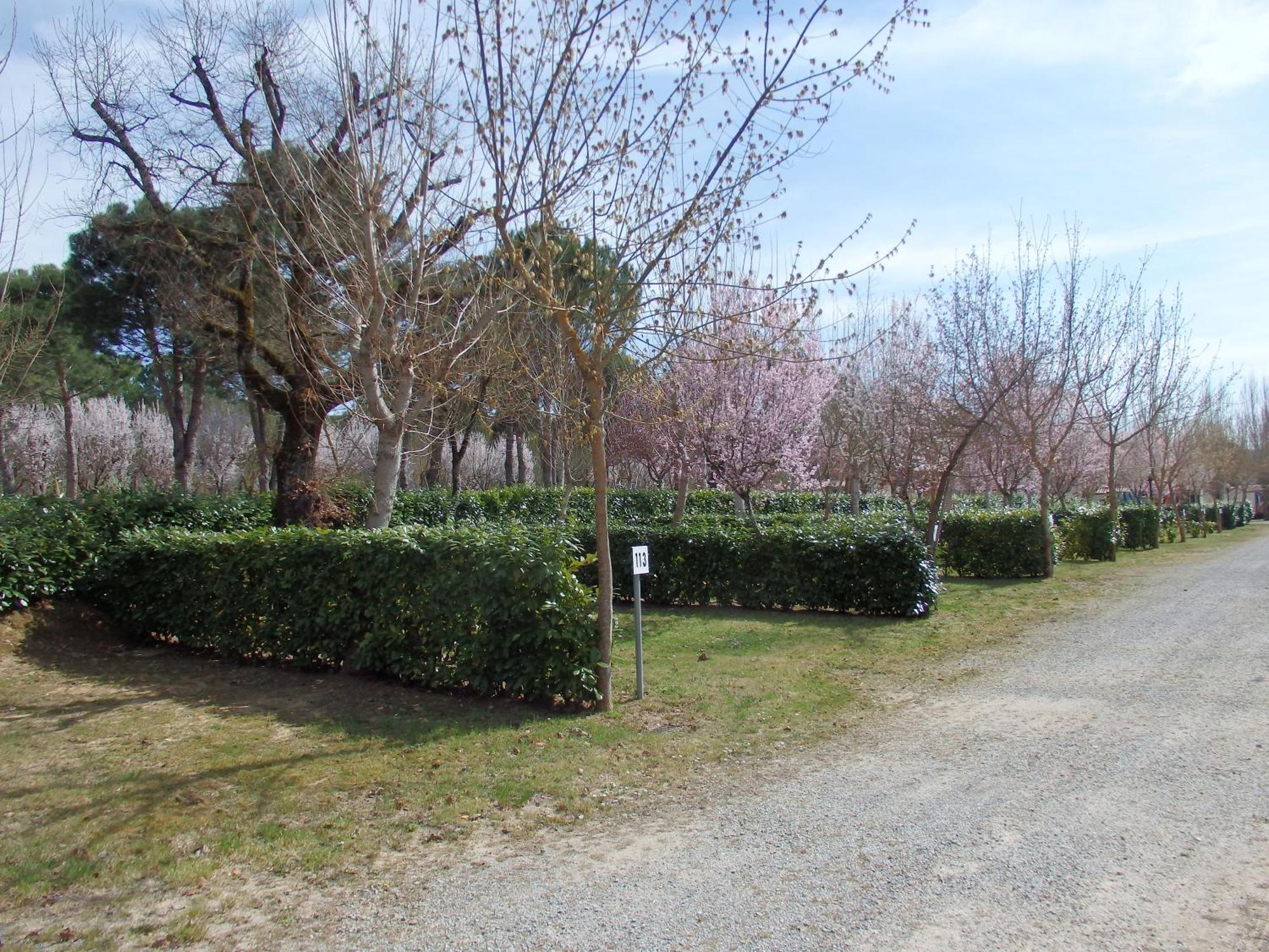 Camping Village La Chiocciola Capannole Luaran gambar